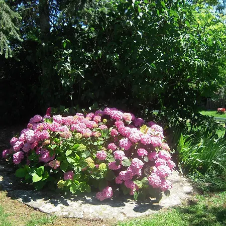 De Segonac Saint-Georges-de-Luzençon